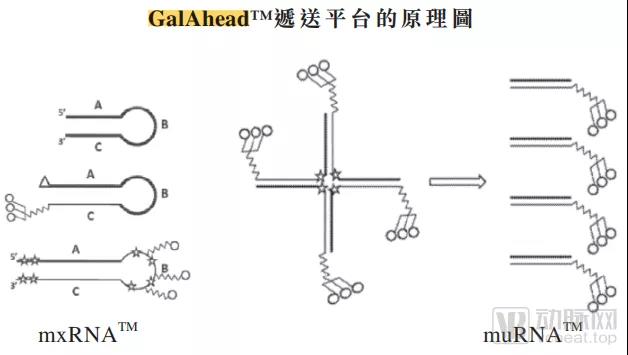 微信圖片_20211230134842.jpg